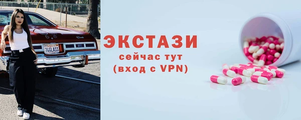 индика Бородино