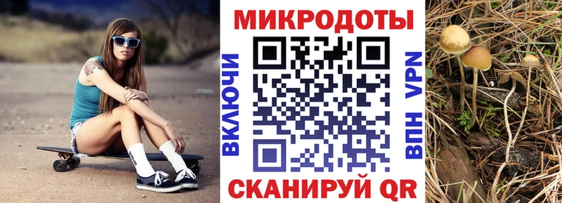 Галлюциногенные грибы Psilocybine cubensis  продажа наркотиков  Вязники 